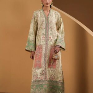 Designer Winter Embroidered Peshwas